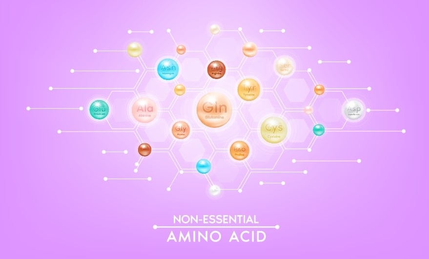 Non-Essential Amino Acids